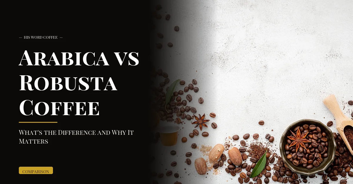 arabica vs robusta coffee - His Word Coffee