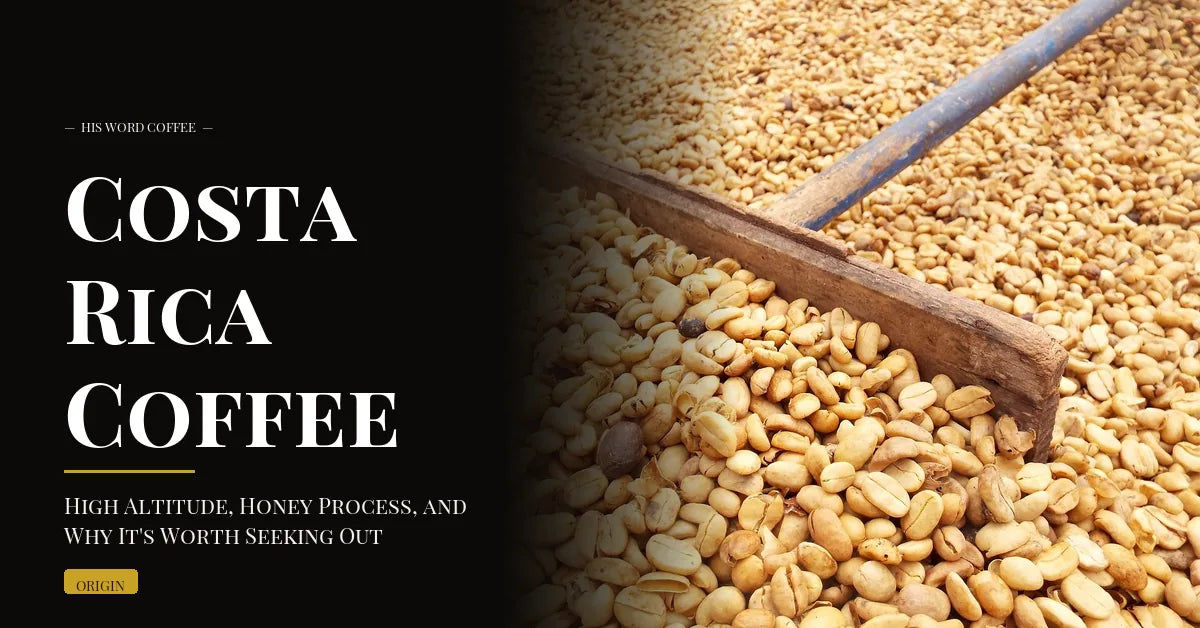 Costa Rica Coffee: High Altitude, Honey Process, and Why It's Worth Seeking Out