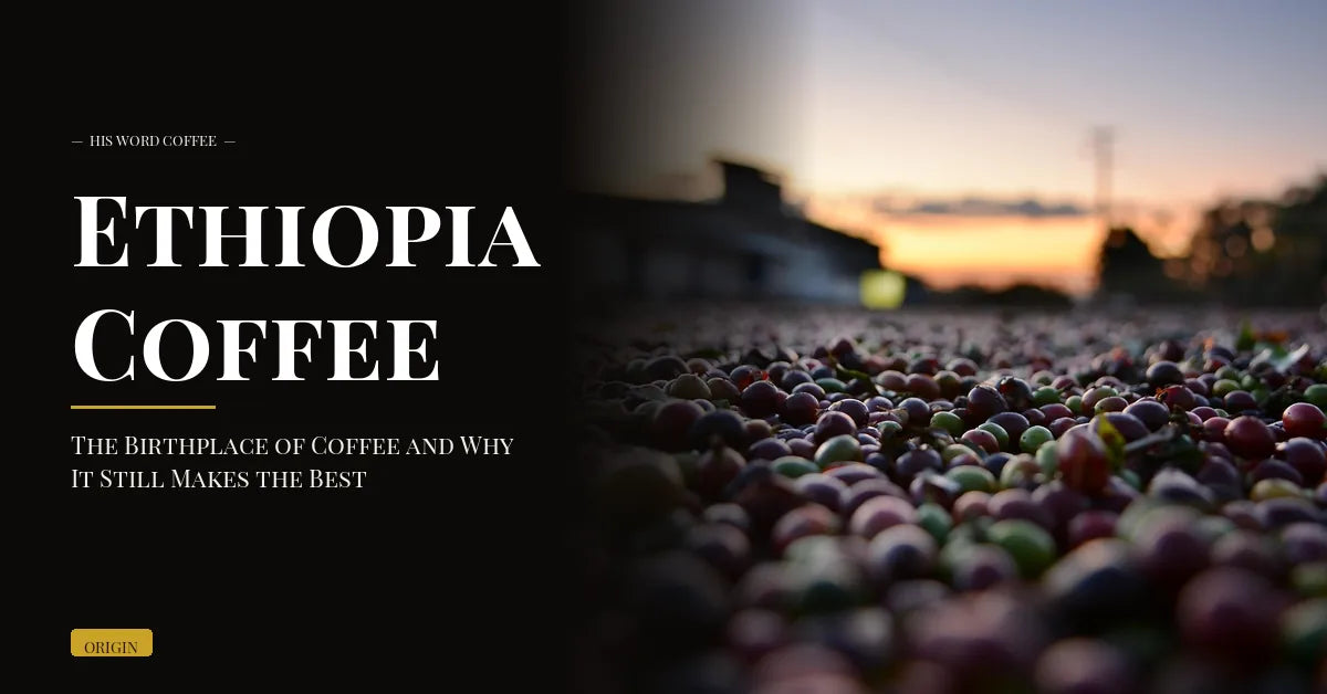 Ethiopia Coffee: The Birthplace of Coffee and Why It Still Makes the Best