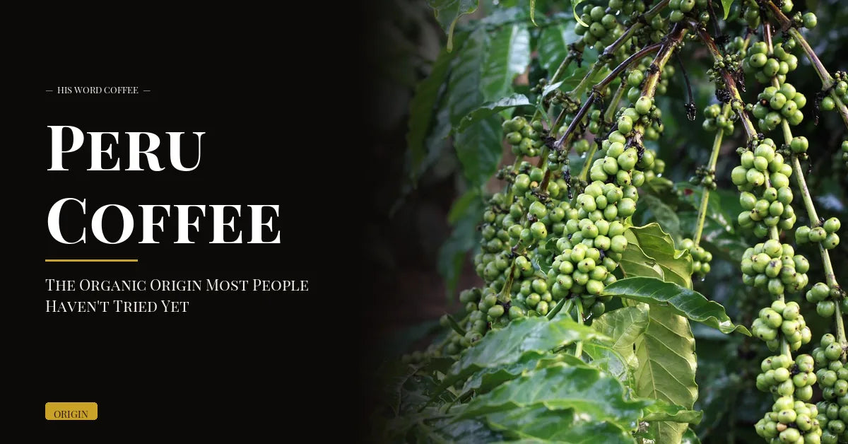 Peru Coffee: The Organic Origin Most People Haven't Tried Yet