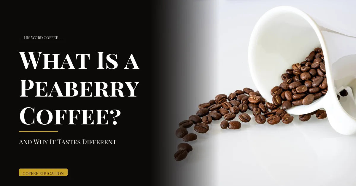What Is a Peaberry Coffee? (And Why It Tastes Different) - His Word Coffee