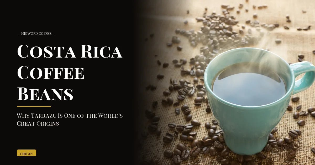 costa rica coffee beans tarrazu - His Word Coffee