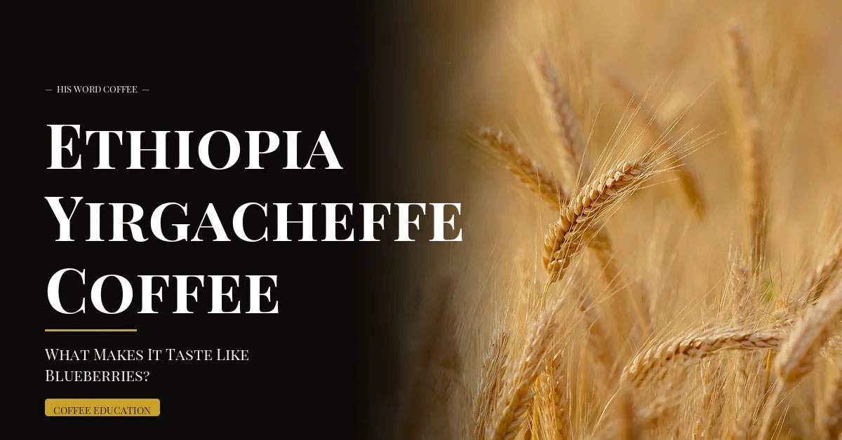 ethiopia yirgacheffe coffee taste blueberries - His Word Coffee