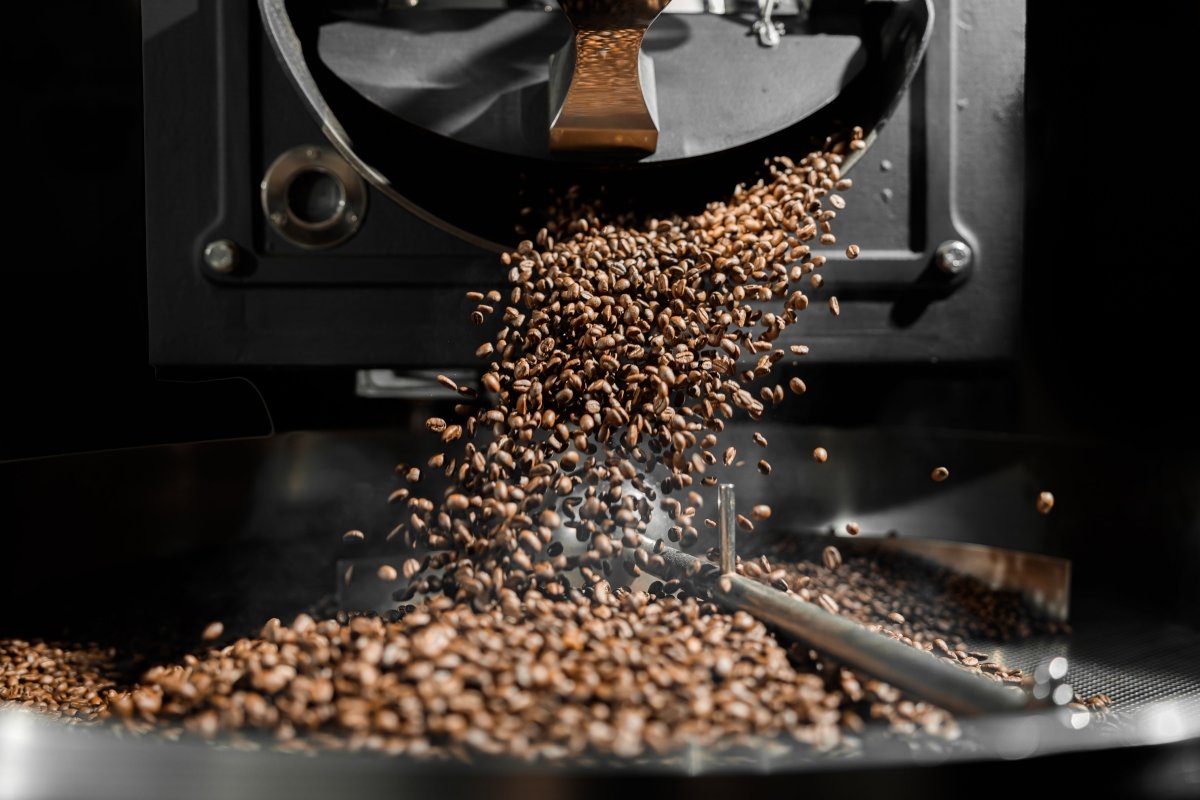 Freshly Roasted vs. Pre-Packaged Coffee: A Comprehensive Comparison of Flavor and Freshness for Coffee Lovers - His Word Coffee