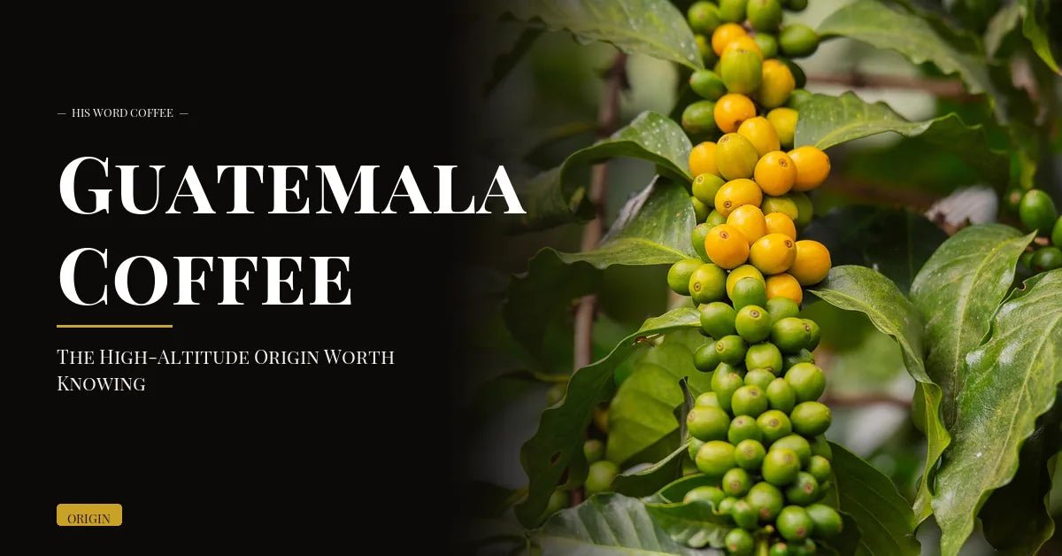 guatemala coffee guide - His Word Coffee