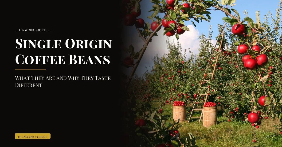 single origin coffee beans what they are - His Word Coffee
