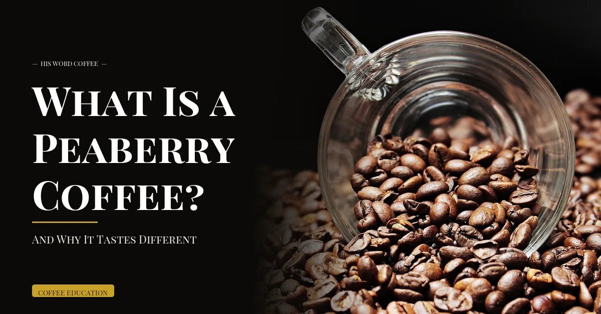 what is peaberry coffee - His Word Coffee