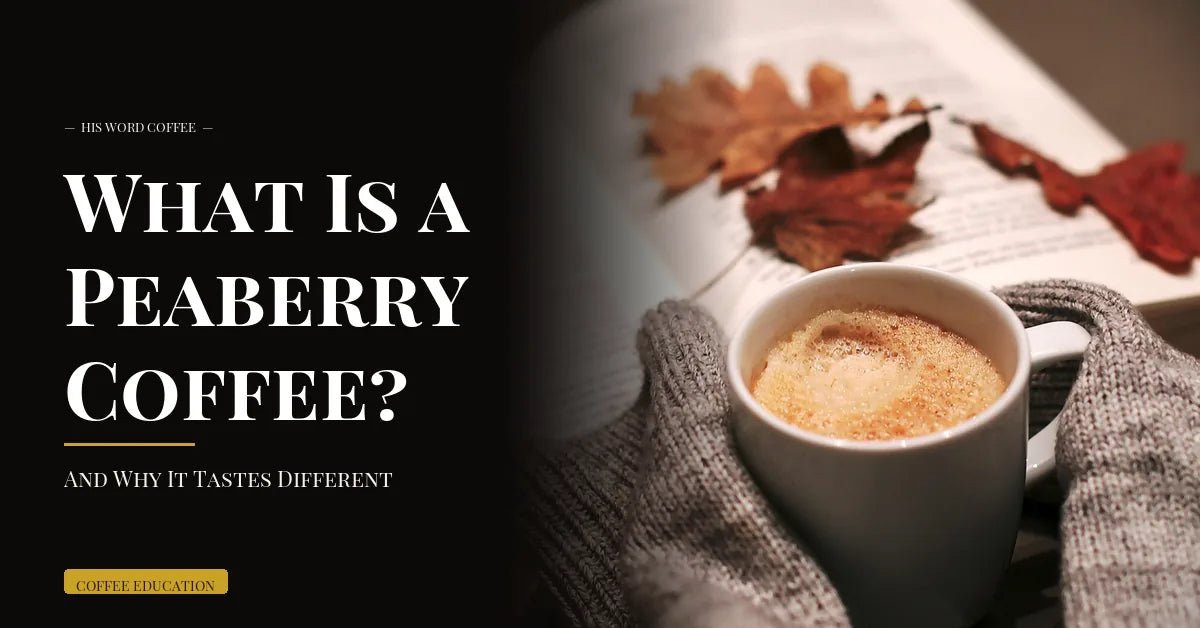 what is peaberry coffee - His Word Coffee