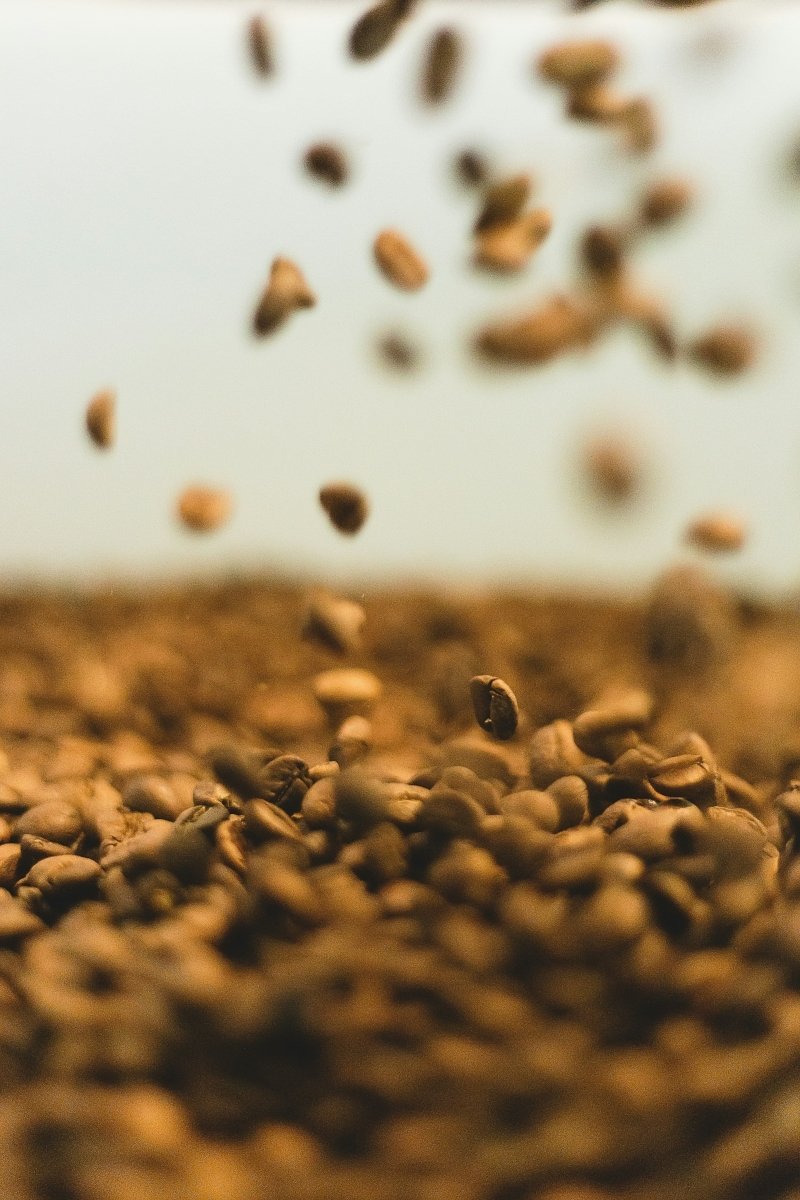 What is Fluid Bed Coffee Roasting? The Complete Guide to Air-Roasted Coffee - His Word Coffee