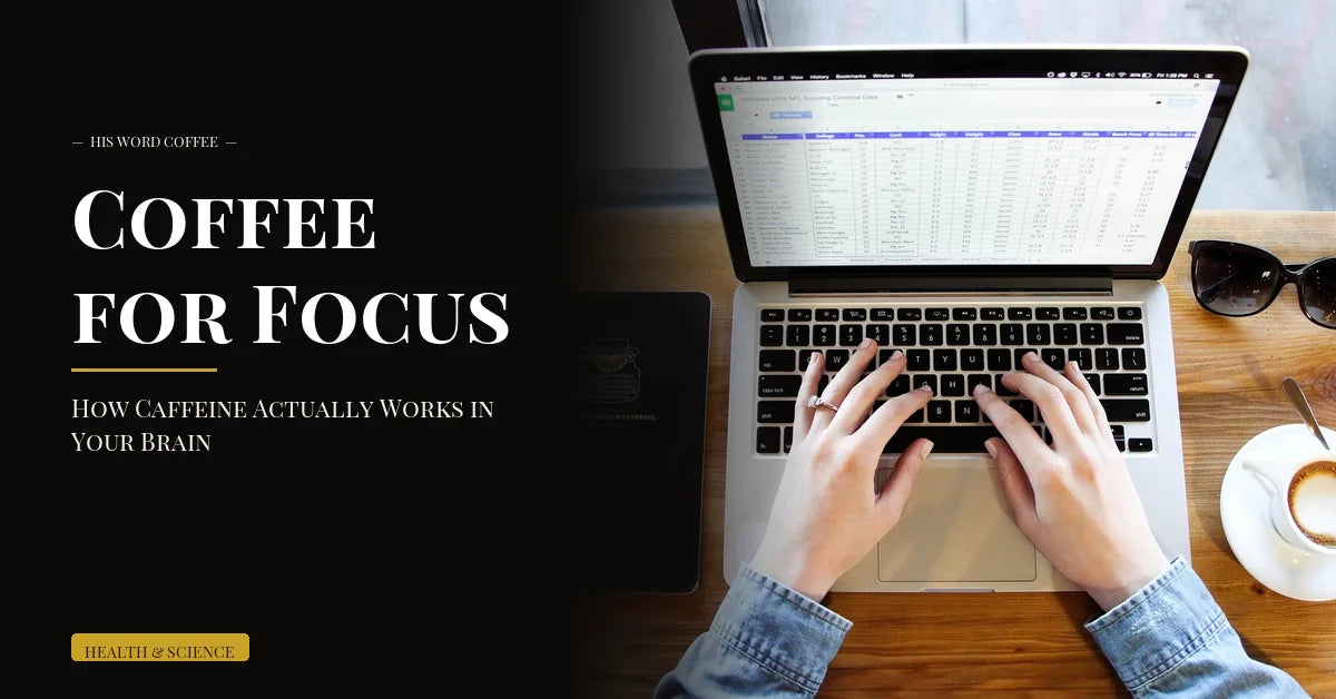 Coffee for Focus: How Caffeine Actually Works in Your Brain - His Word Coffee