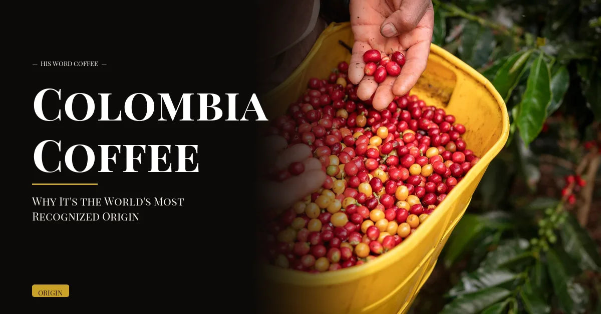 Colombia Coffee: Why It's the World's Most Recognized Origin