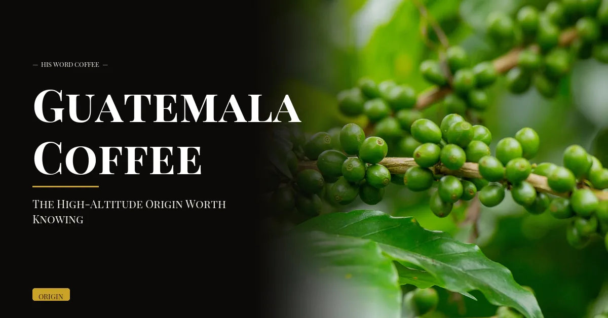 Guatemala Coffee: The High-Altitude Origin Worth Knowing