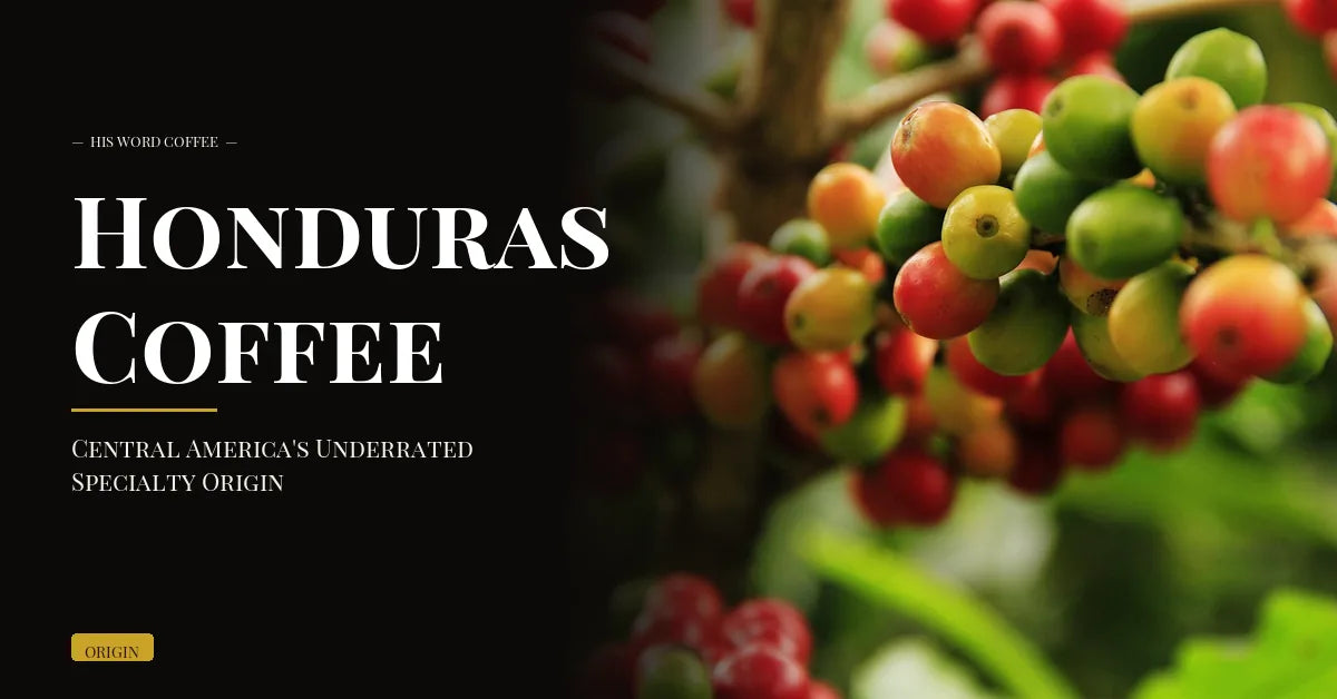 Honduras Coffee: Central America's Underrated Specialty Origin - His Word Coffee