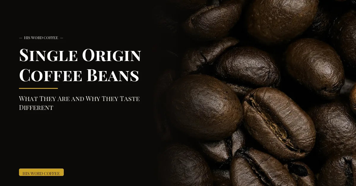 Single Origin Coffee Beans: What They Are and Why They Taste Different