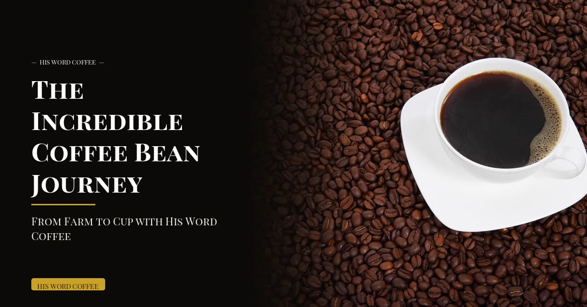 The Incredible Coffee Bean Journey: From Farm to Cup with His Word Coffee
