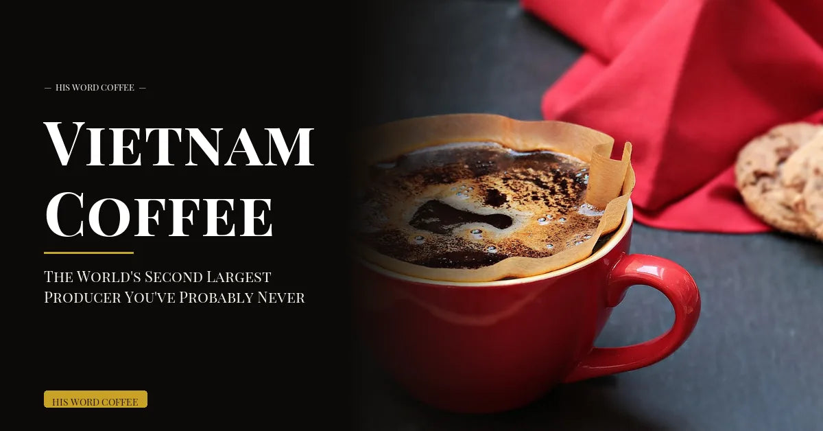 Vietnam Coffee: The World's Second Largest Producer You've Probably Never Tried - His Word Coffee
