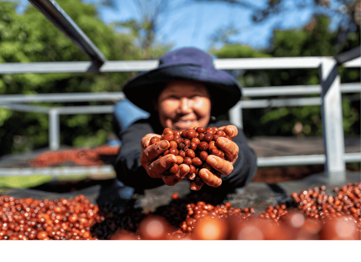How Faith, Farming, and Fairness Come Together in a Cup - His Word Coffee