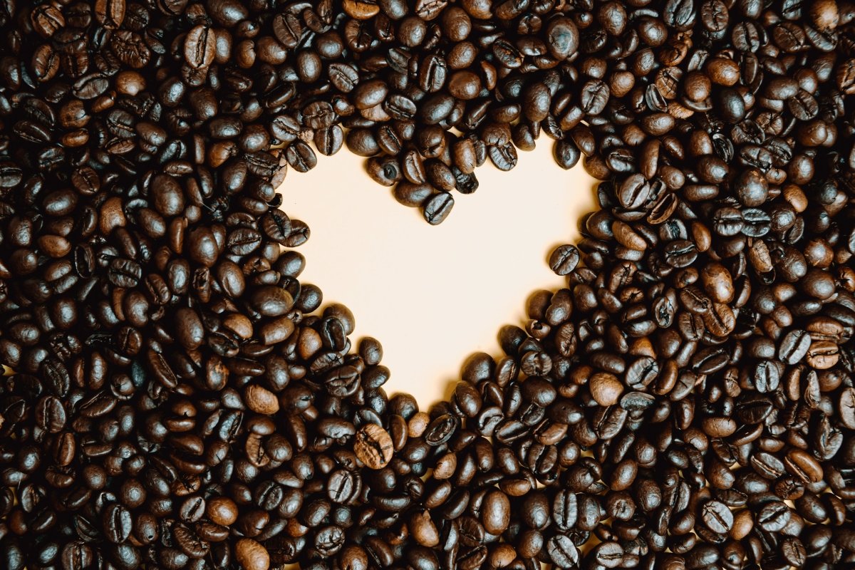What is Fluid Bed Coffee Roasting? The Complete Guide