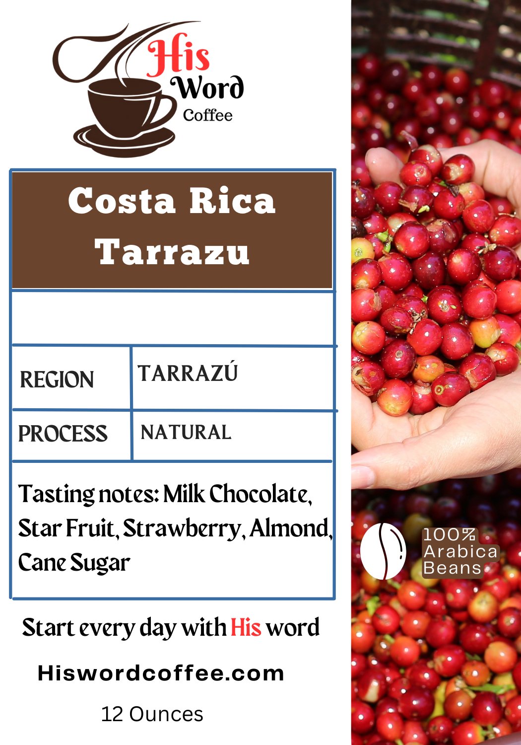 Costa Rica Tarrazu - His Word Coffee